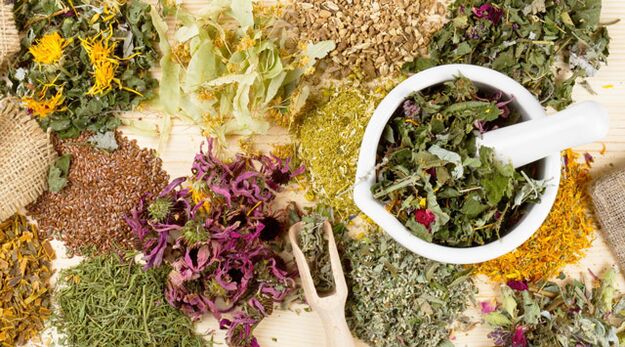 Medicinal plants helping in the fight against diabetes mellitus